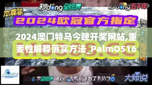 2024澳门特马今晚开奖网站,重要性解释落实方法_PalmOS165.143-3