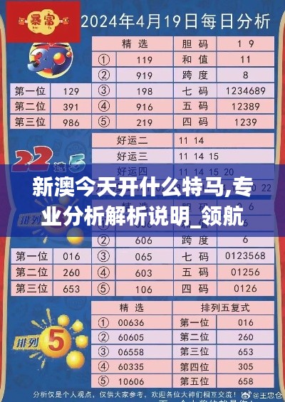 新澳今天开什么特马,专业分析解析说明_领航款97.287-5