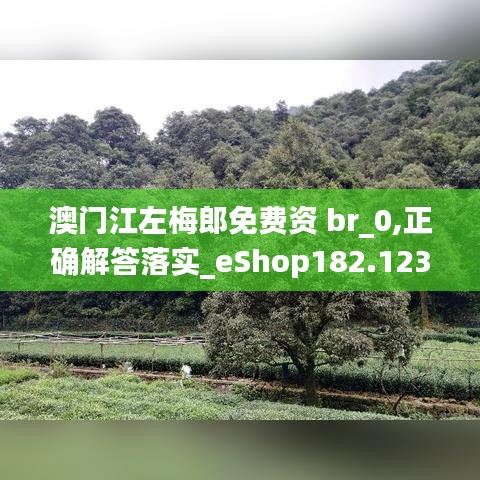 澳门江左梅郎免费资 br_0,正确解答落实_eShop182.123-8