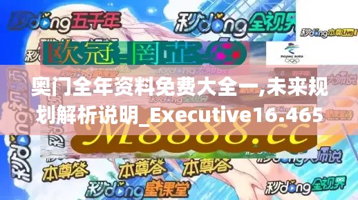 奥门全年资料免费大全一,未来规划解析说明_Executive16.465-4