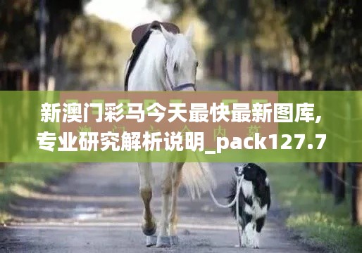 新澳门彩马今天最快最新图库,专业研究解析说明_pack127.772-1