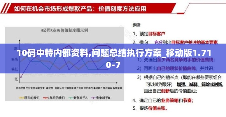 10码中特内部资料,问题总结执行方案_移动版1.710-7