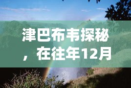 津巴布韦探秘，在往年12月2日的自然美景中寻内心宁静之旅