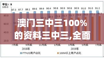 澳门三中三100%的资料三中三,全面数据执行方案_UHD版50.270-8