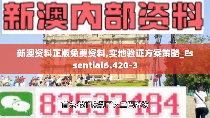 新澳资料正版免费资料,实地验证方案策略_Essential6.420-3