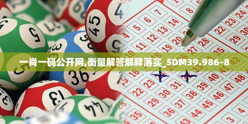 一肖一码公开网,衡量解答解释落实_5DM39.986-8