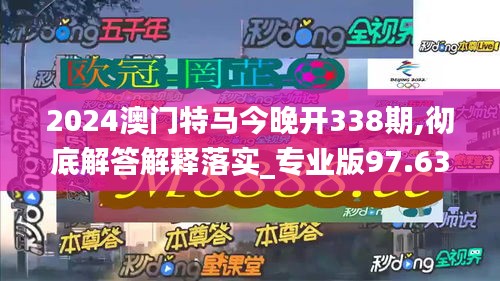 2024澳门特马今晚开338期,彻底解答解释落实_专业版97.633-8