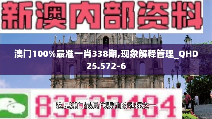 澳门100%最准一肖338期,现象解释管理_QHD25.572-6