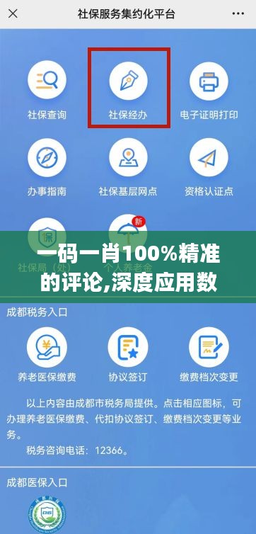 一码一肖100%精准的评论,深度应用数据策略_Windows169.981-3