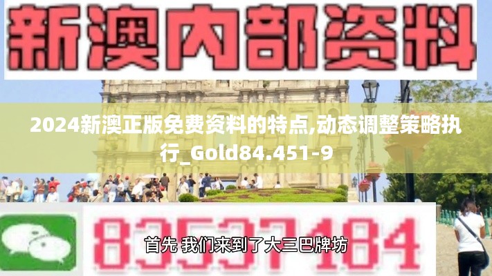 2024新澳正版免费资料的特点,动态调整策略执行_Gold84.451-9