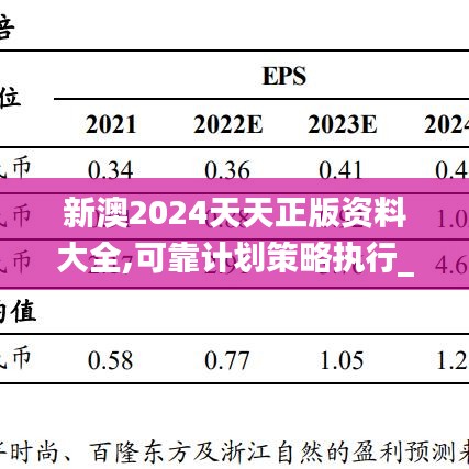 新澳2024天天正版资料大全,可靠计划策略执行_标配版39.565-6