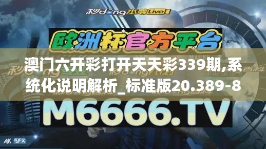 澳门六开彩打开天天彩339期,系统化说明解析_标准版20.389-8