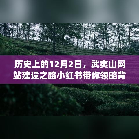 武夷山网站建设背后的故事，小红书带你领略历史中的12月2日