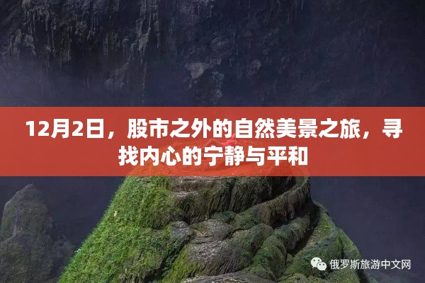 12月2日自然之旅，股市外的宁静心境探索