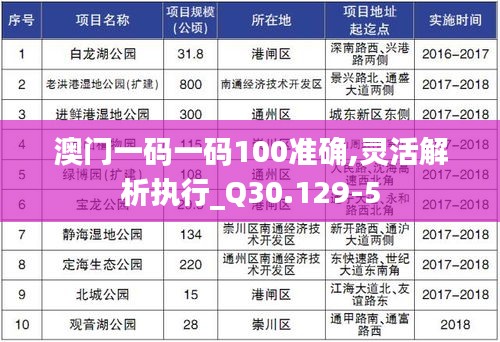 澳门一码一码100准确,灵活解析执行_Q30.129-5