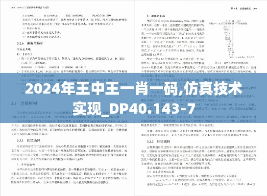 2024年王中王一肖一码,仿真技术实现_DP40.143-7