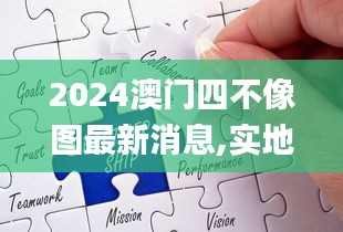 2024澳门四不像图最新消息,实地执行分析数据_尊贵款94.903-5