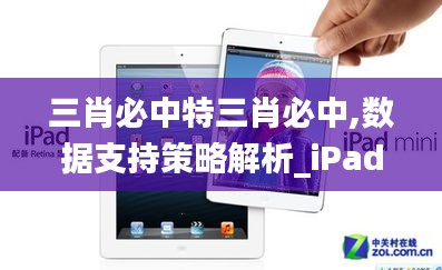 三肖必中特三肖必中,数据支持策略解析_iPad43.149-3