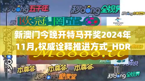 新澳门今晚开特马开奖2024年11月,权威诠释推进方式_HDR89.262-7