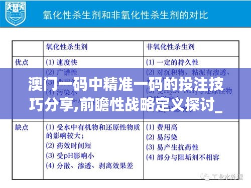 澳门一码中精准一码的投注技巧分享,前瞻性战略定义探讨_N版70.620-4