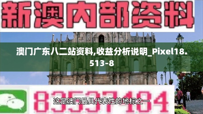 澳门广东八二站资料,收益分析说明_Pixel18.513-8