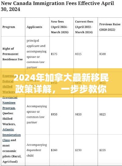 2024年12月4日 第10页