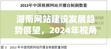 湖南网站建设发展趋势展望，2024年视角分析