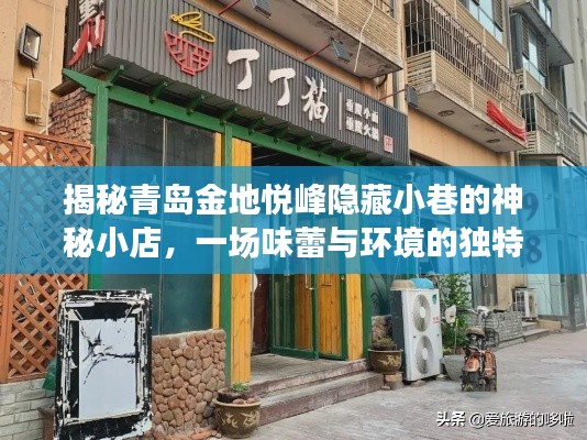 青岛金地悦峰小巷神秘小店探秘，味蕾与环境的完美交融