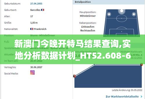 新澳门今晚开特马结果查询,实地分析数据计划_HT52.608-6