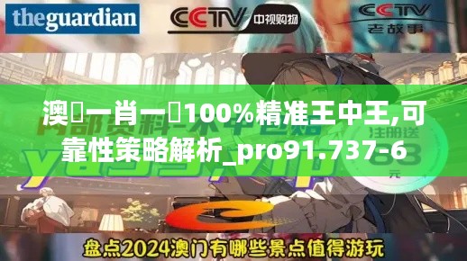 澳門一肖一碼100%精准王中王,可靠性策略解析_pro91.737-6