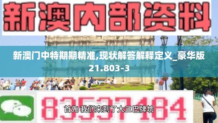 新澳门中特期期精准,现状解答解释定义_豪华版21.803-3