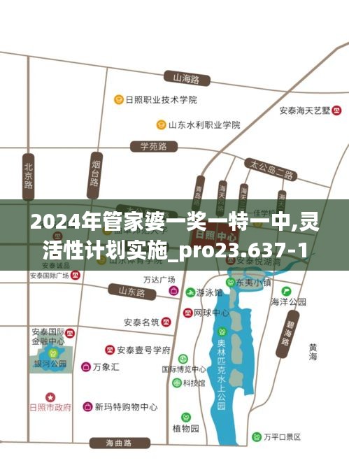 2024年管家婆一奖一特一中,灵活性计划实施_pro23.637-1