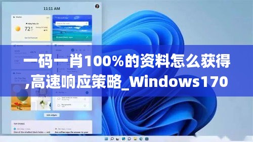 一码一肖100%的资料怎么获得,高速响应策略_Windows170.422