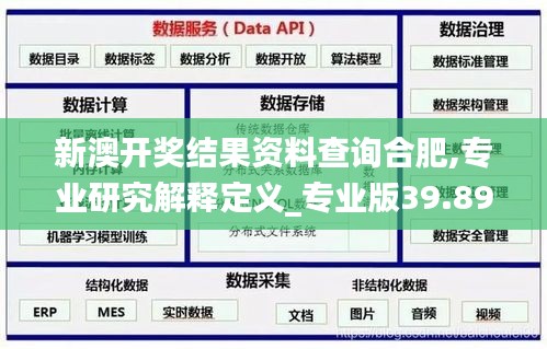 新澳开奖结果资料查询合肥,专业研究解释定义_专业版39.893