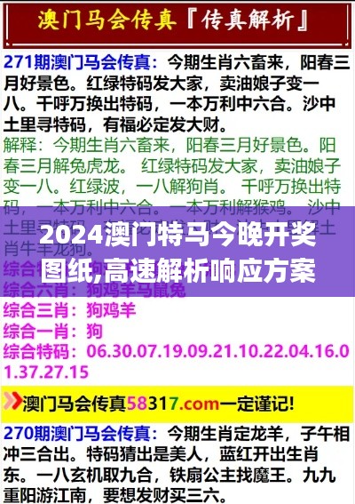 2024澳门特马今晚开奖图纸,高速解析响应方案_铂金版48.355