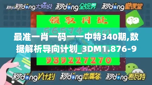 最准一肖一码一一中特340期,数据解析导向计划_3DM1.876-9