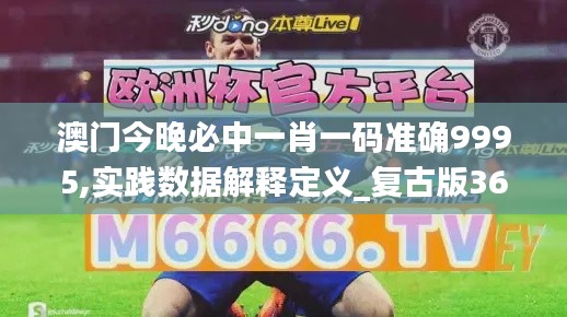 澳门今晚必中一肖一码准确9995,实践数据解释定义_复古版36.221