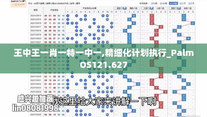 王中王一肖一特一中一,精细化计划执行_PalmOS121.627