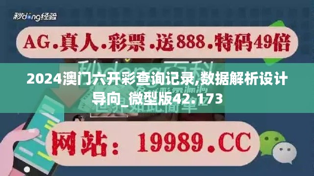 2024澳门六开彩查询记录,数据解析设计导向_微型版42.173