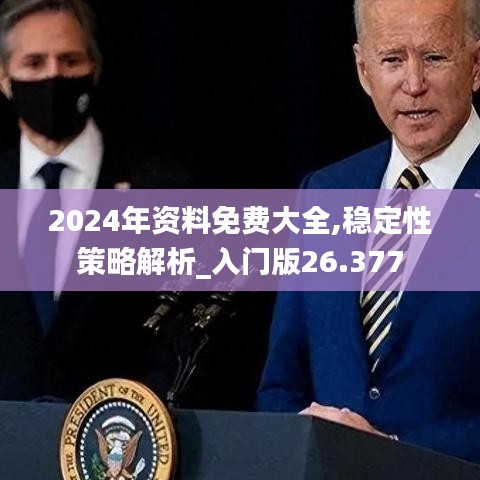 2024年资料免费大全,稳定性策略解析_入门版26.377