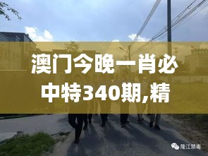 澳门今晚一肖必中特340期,精细化执行计划_FHD1.120-2