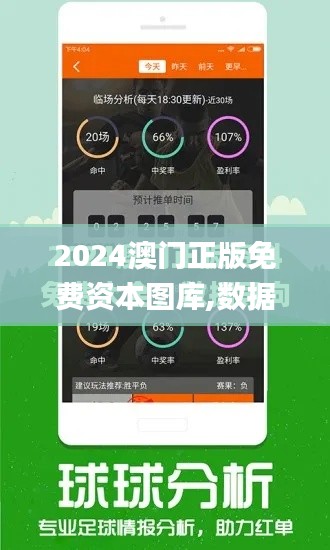 2024澳门正版免费资本图库,数据驱动计划设计_尊享版10.803