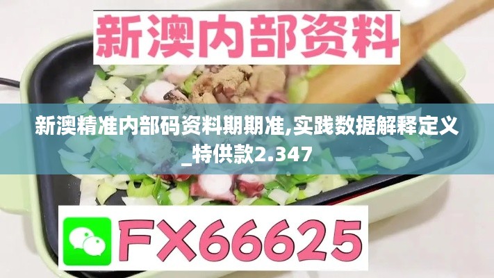 新澳精准内部码资料期期准,实践数据解释定义_特供款2.347