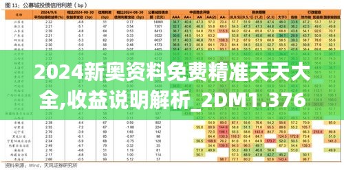 2024新奥资料免费精准天天大全,收益说明解析_2DM1.376