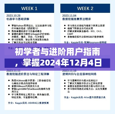 初学者与进阶用户指南，掌握最新技能，引领您走向2024年12月4日26ise的全面步骤