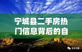 2024年12月5日 第13页