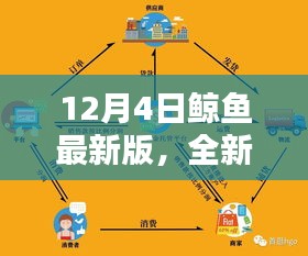 12月4日鲸鱼最新版特性与优势深度解析