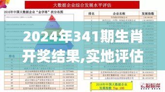 2024年341期生肖开奖结果,实地评估解析数据_V版1.813