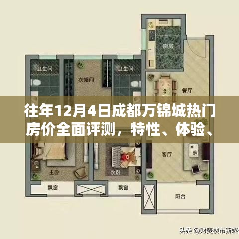 往年12月成都万锦城房价全面解析，特性、体验、对比与目标用户深度探讨