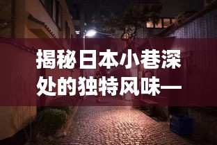 探索日本小巷深处的隐藏美食秘境，揭秘日本最新美食秘境之旅（12月4日）